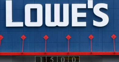 lowe’s-and-petco-to-open-small-pet-shops-in-select-home-improvement-stores-with-new-pilot-–-usa-today