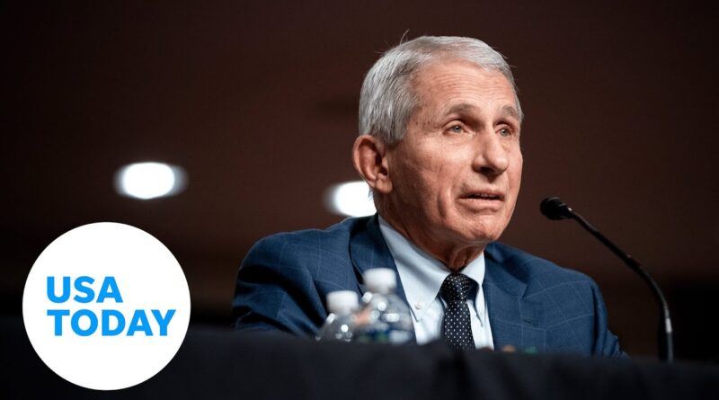 Fauci: COVID-19 global pandemic not over | USA TODAY
