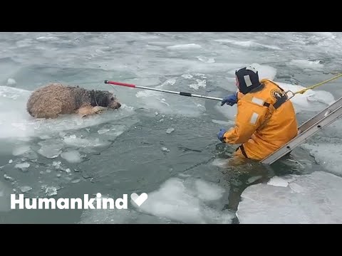 Watch these every day heroes save lives | Humankind