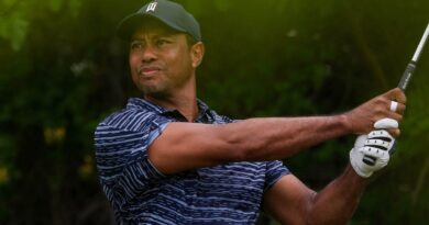 pga-championship-live-updates:-tiger-woods-falters-late,-appears-to-favor-injured-leg;-rory-mcilroy-in-lead-–-usa-today