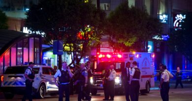 suspect-‘in-custody’-after-2-dead,-7-injured-in-downtown-chicago-shooting,-police-say-–-usa-today
