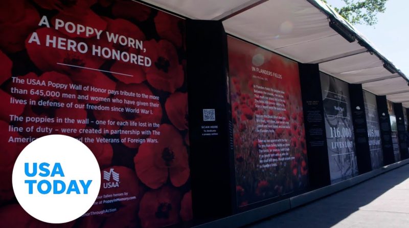 Poppy Wall of Honor back in DC for first time since COVID-19 pandemic | USA TODAY