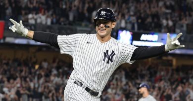 mlb-power-rankings:-yankees,-mets-on-top-with-baseball’s-best-records-–-usa-today