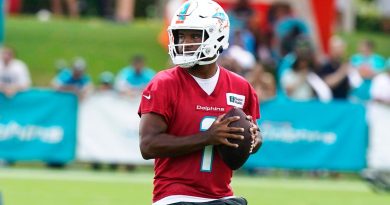 dolphins-qb-tua-tagovailoa-goes-viral-with-65-yard-touchdown-to-tyreek-hill-in-training-camp-–-usa-today