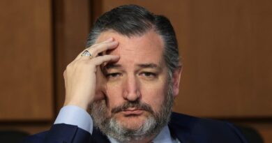 fact-check:-false-claim-that-video-shows-ted-cruz-presenting-new-jan.-6-information-–-usa-today