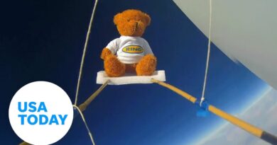 Father invents flight module with teddy bear pilot astronaut | USA TODAY