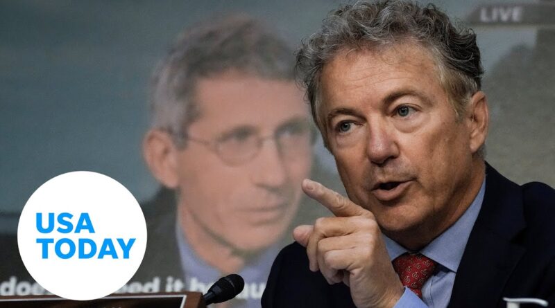 Sen. Rand Paul, Dr. Anthony Fauci have heated debate on vaccines | USA TODAY