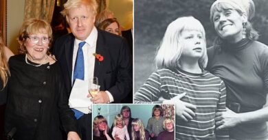 boris-johnson’s-artist-mother-charlotte-johnson-wahl-‘left-ex-pm-400,000-in-her-will’-–-daily-mail