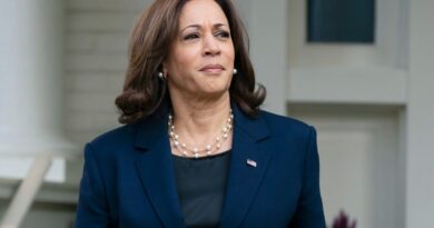 report:-harris,-secret-service-director-concerned-over-reporting-of-monday-motorcade-crash-–-usa-today