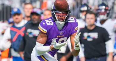minnesota-vikings-at-miami-dolphins:-predictions,-picks-and-odds-for-nfl-week-6-matchup-–-usa-today