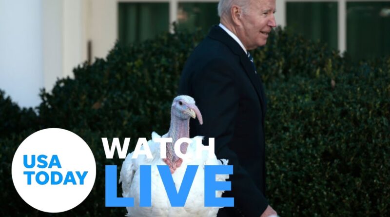 Watch live: White House Thanksgiving turkey pardon