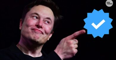 elon-musk-private-jet-tracker-on-twitter-suspended-again-–-usa-today