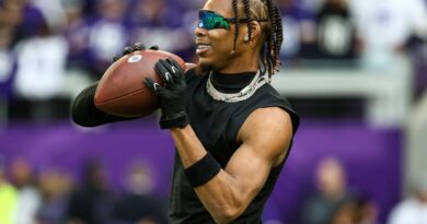 vikings-news-roundup:-fines,-behind-enemy-lines-and-more-–-vikings-wire
